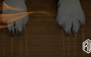 10 Steps To Fix Dog Scratches On Hardwood Floor