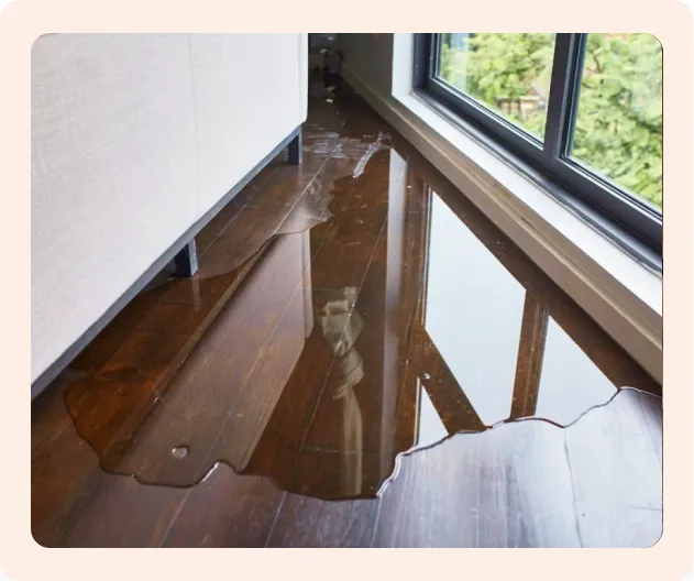 moisture ruining your floors